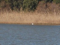 Lago_Gornalunga - 20110206 162.jpg